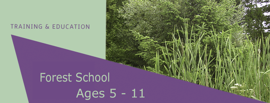 Forest School – A Fantastic Outdoor Learning Experience